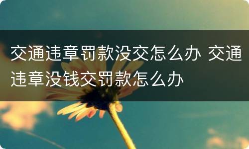 交通违章罚款没交怎么办 交通违章没钱交罚款怎么办