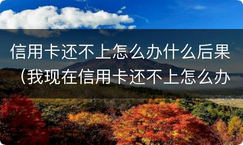 信用卡还不上怎么办什么后果（我现在信用卡还不上怎么办）