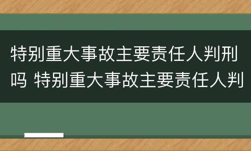 特别重大事故主要责任人判刑吗 特别重大事故主要责任人判刑吗为什么