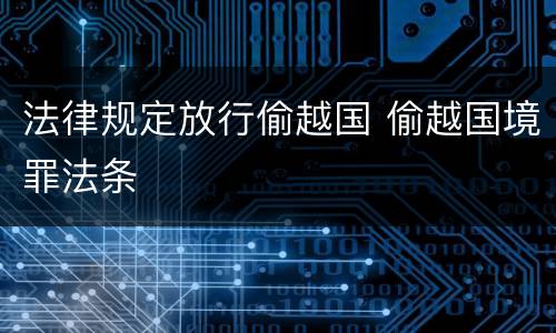 法律规定放行偷越国 偷越国境罪法条