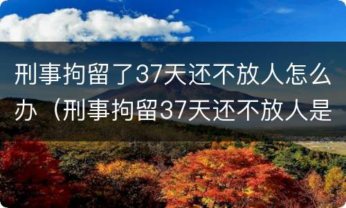刑事拘留了37天还不放人怎么办（刑事拘留37天还不放人是不是就要判刑）