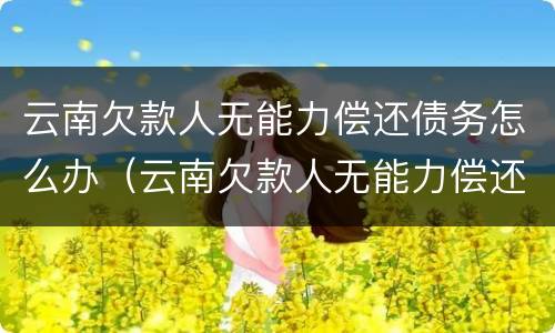 云南欠款人无能力偿还债务怎么办（云南欠款人无能力偿还债务怎么办理）