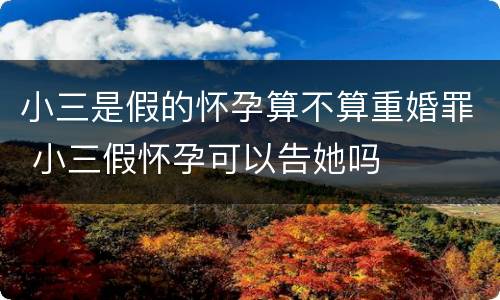 小三是假的怀孕算不算重婚罪 小三假怀孕可以告她吗