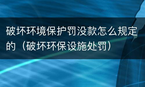 破坏环境保护罚没款怎么规定的（破坏环保设施处罚）