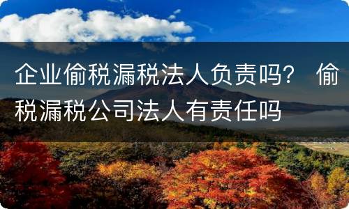 企业偷税漏税法人负责吗？ 偷税漏税公司法人有责任吗