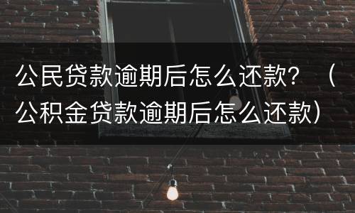 公民贷款逾期后怎么还款？（公积金贷款逾期后怎么还款）