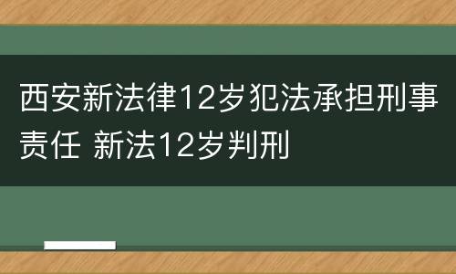 西安新法律12岁犯法承担刑事责任 新法12岁判刑