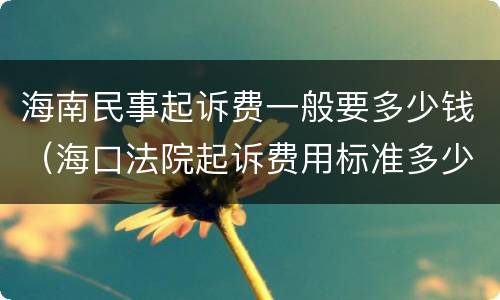 海南民事起诉费一般要多少钱（海口法院起诉费用标准多少）