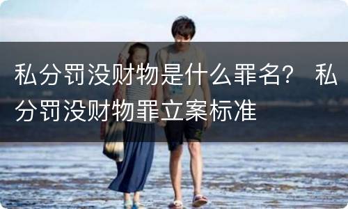 私分罚没财物是什么罪名？ 私分罚没财物罪立案标准