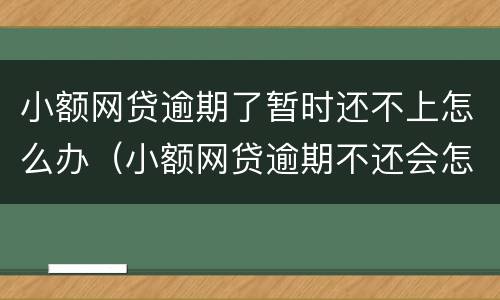 小额网贷逾期了暂时还不上怎么办（小额网贷逾期不还会怎么样）