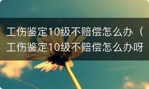 工伤鉴定10级不赔偿怎么办（工伤鉴定10级不赔偿怎么办呀）