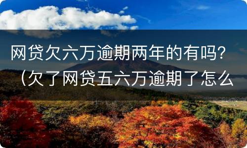 网贷欠六万逾期两年的有吗？（欠了网贷五六万逾期了怎么办）