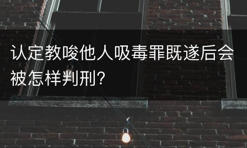 认定教唆他人吸毒罪既遂后会被怎样判刑?