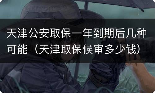 天津公安取保一年到期后几种可能（天津取保候审多少钱）