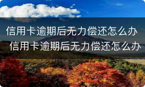 信用卡逾期后无力偿还怎么办 信用卡逾期后无力偿还怎么办只有还本金的吗