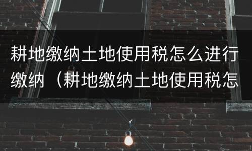 耕地缴纳土地使用税怎么进行缴纳（耕地缴纳土地使用税怎么进行缴纳的）