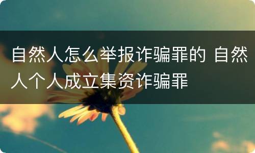 自然人怎么举报诈骗罪的 自然人个人成立集资诈骗罪