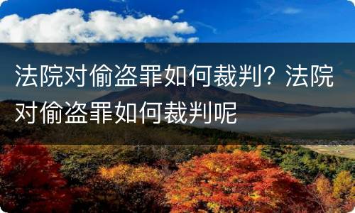 法院对偷盗罪如何裁判? 法院对偷盗罪如何裁判呢