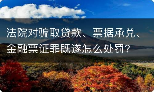 法院对骗取贷款、票据承兑、金融票证罪既遂怎么处罚？