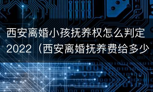 西安离婚小孩抚养权怎么判定2022（西安离婚抚养费给多少钱一个月）