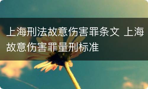 上海刑法故意伤害罪条文 上海故意伤害罪量刑标准