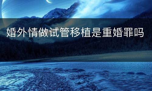 婚外情做试管移植是重婚罪吗