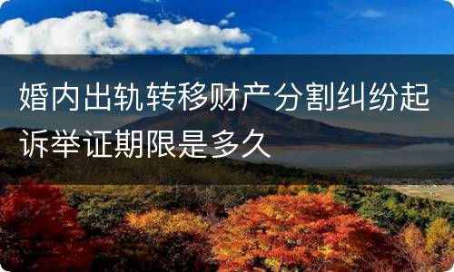婚内出轨转移财产分割纠纷起诉举证期限是多久