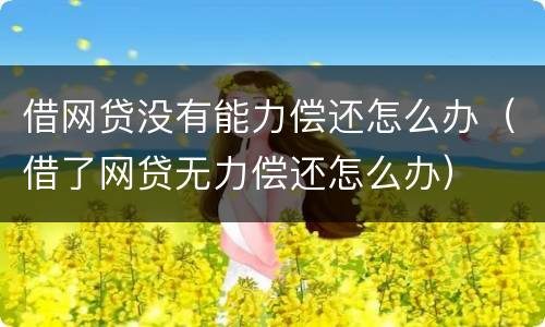 借网贷没有能力偿还怎么办（借了网贷无力偿还怎么办）