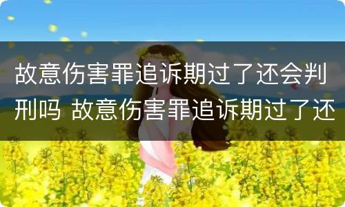 故意伤害罪追诉期过了还会判刑吗 故意伤害罪追诉期过了还会判刑吗多久