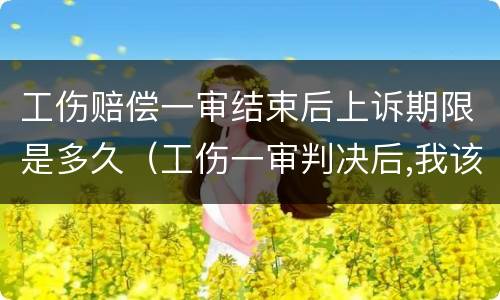 工伤赔偿一审结束后上诉期限是多久（工伤一审判决后,我该怎么办）