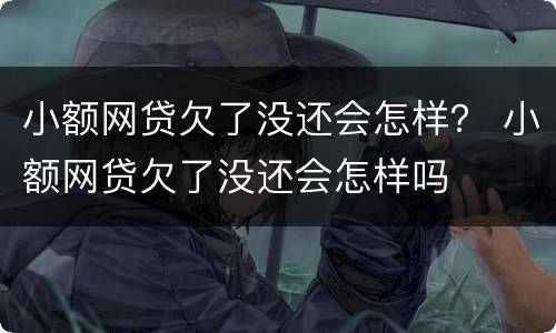 小额网贷欠了没还会怎样？ 小额网贷欠了没还会怎样吗