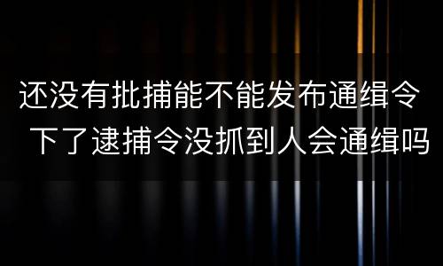 还没有批捕能不能发布通缉令 下了逮捕令没抓到人会通缉吗