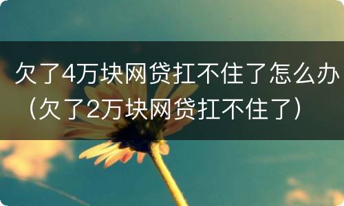 欠了4万块网贷扛不住了怎么办（欠了2万块网贷扛不住了）