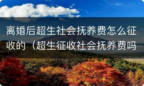 离婚后超生社会抚养费怎么征收的（超生征收社会抚养费吗）