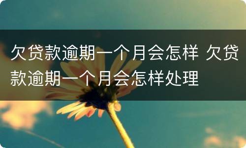 欠贷款逾期一个月会怎样 欠贷款逾期一个月会怎样处理