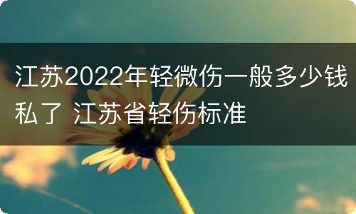 江苏2022年轻微伤一般多少钱私了 江苏省轻伤标准