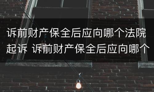 诉前财产保全后应向哪个法院起诉 诉前财产保全后应向哪个法院起诉呢