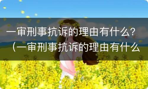 一审刑事抗诉的理由有什么？（一审刑事抗诉的理由有什么规定）