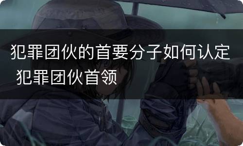 犯罪团伙的首要分子如何认定 犯罪团伙首领