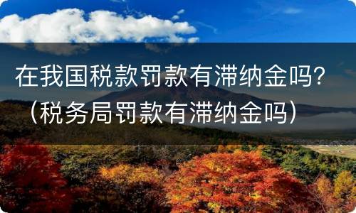在我国税款罚款有滞纳金吗？（税务局罚款有滞纳金吗）