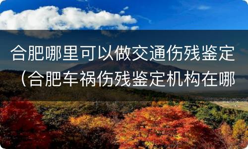 合肥哪里可以做交通伤残鉴定（合肥车祸伤残鉴定机构在哪）
