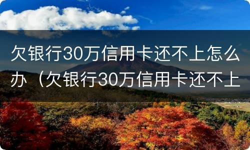欠银行30万信用卡还不上怎么办（欠银行30万信用卡还不上怎么办呢）