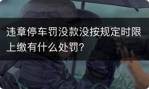 违章停车罚没款没按规定时限上缴有什么处罚？