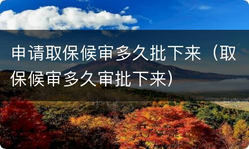 申请取保候审多久批下来（取保候审多久审批下来）