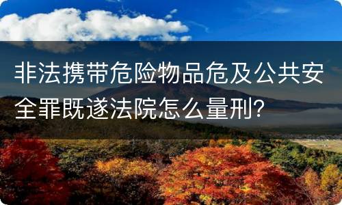 非法携带危险物品危及公共安全罪既遂法院怎么量刑？