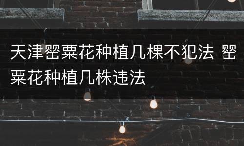 天津罂粟花种植几棵不犯法 罂粟花种植几株违法