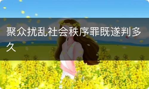 聚众扰乱社会秩序罪既遂判多久