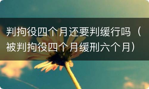判拘役四个月还要判缓行吗（被判拘役四个月缓刑六个月）