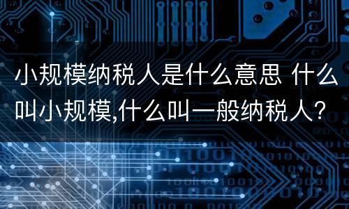 小规模纳税人是什么意思 什么叫小规模,什么叫一般纳税人?