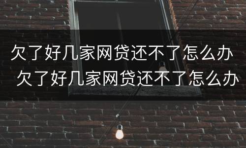 欠了好几家网贷还不了怎么办 欠了好几家网贷还不了怎么办呀